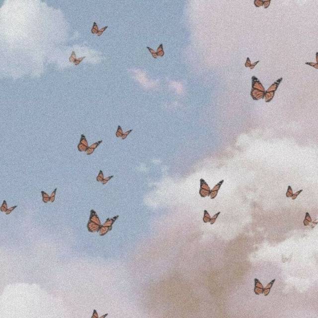 m*****4
