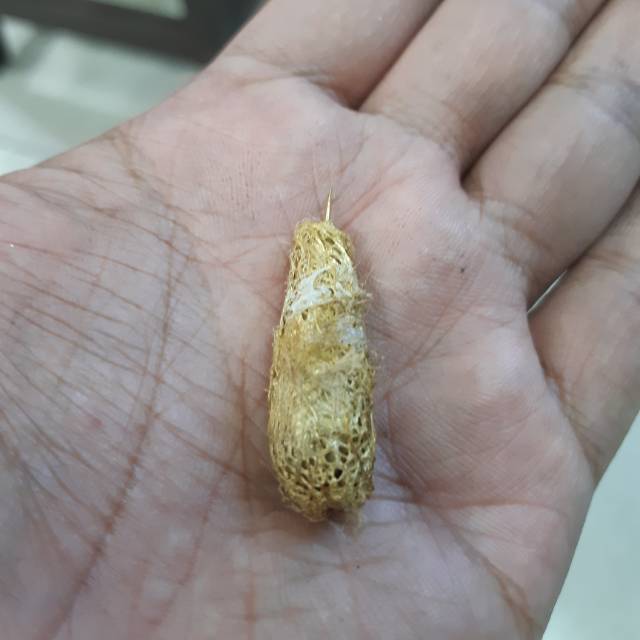 kepongpong full kuningan sari asli