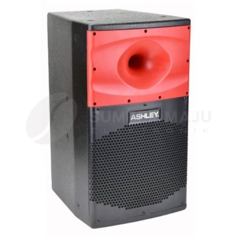 Speaker Pasif Ashley Z10 Pro 10 inch Profesional Speaker