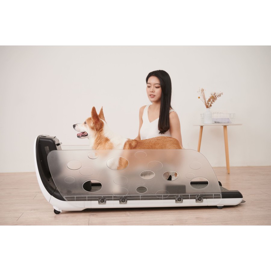 YESOUL Q1 Smart Pet Treadmill Hewan Dog Cat Small PET Food Dispenser