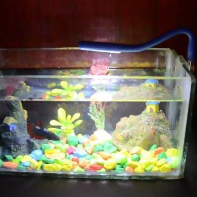 LAMPU SOLITARE CUPANG GUPPY SOLITARE CUPANG USB PORTABLE DIY