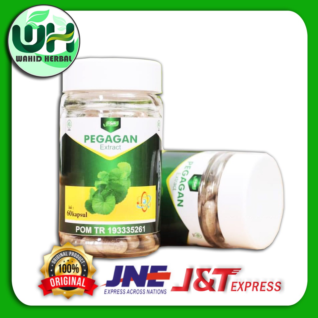 PEGAGAN EXTRACT KAPSUL / EXTRACT KAPSUL PEGAGAN / PEGAGAN 60 KAPSUL