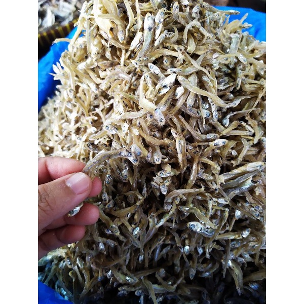 

Teri Mandeh Ketek 100 gr | GRATIS BUBBLE WRAP
