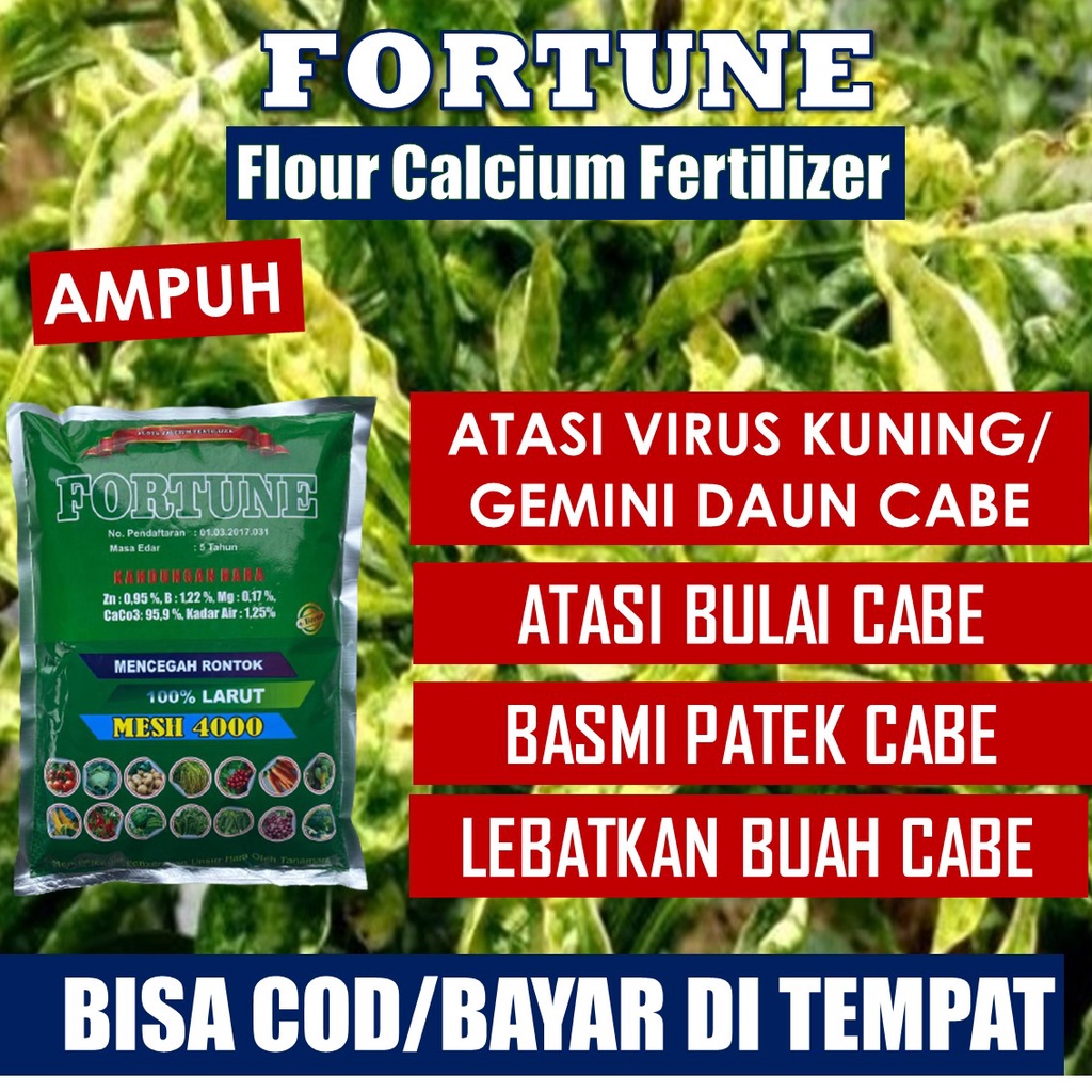 PROMO Obat Semprot Daun Cabe Keriting FORTUNE 1kg Pupuk Kalsium Hama Anti Virus Bulai Cabai Daun Kun