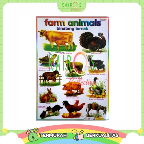 Poster Anak Edukasi Belajar Farm Animal Binatang Ternak