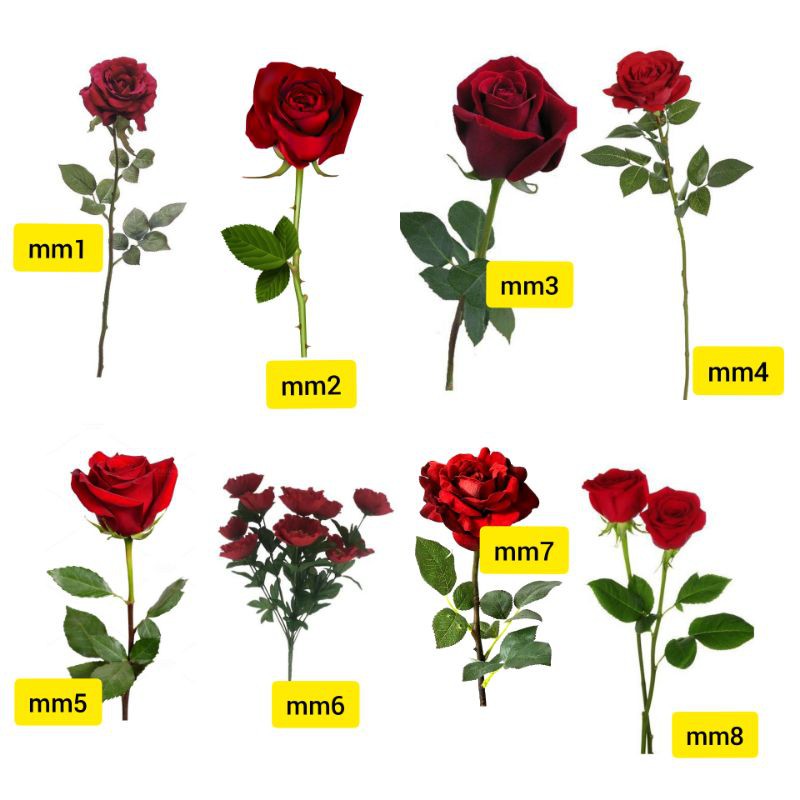 Tato temporer mawar merah tato flower tato red roses Stiker Tato Minimalis  - MM