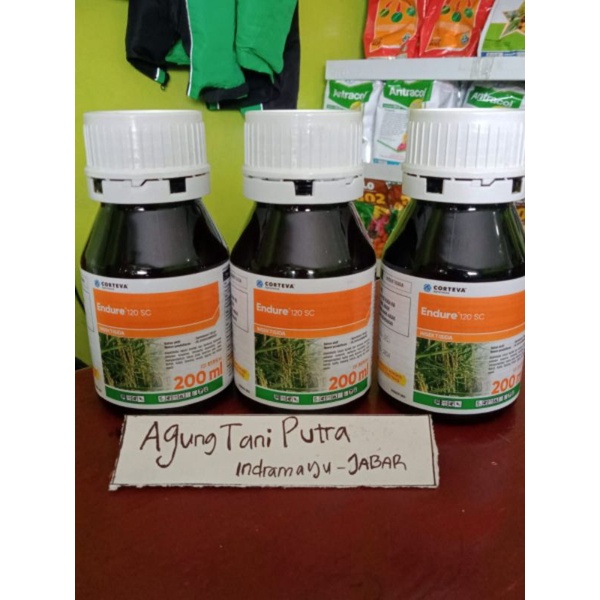 Insektisida endure 120 SC 200ml