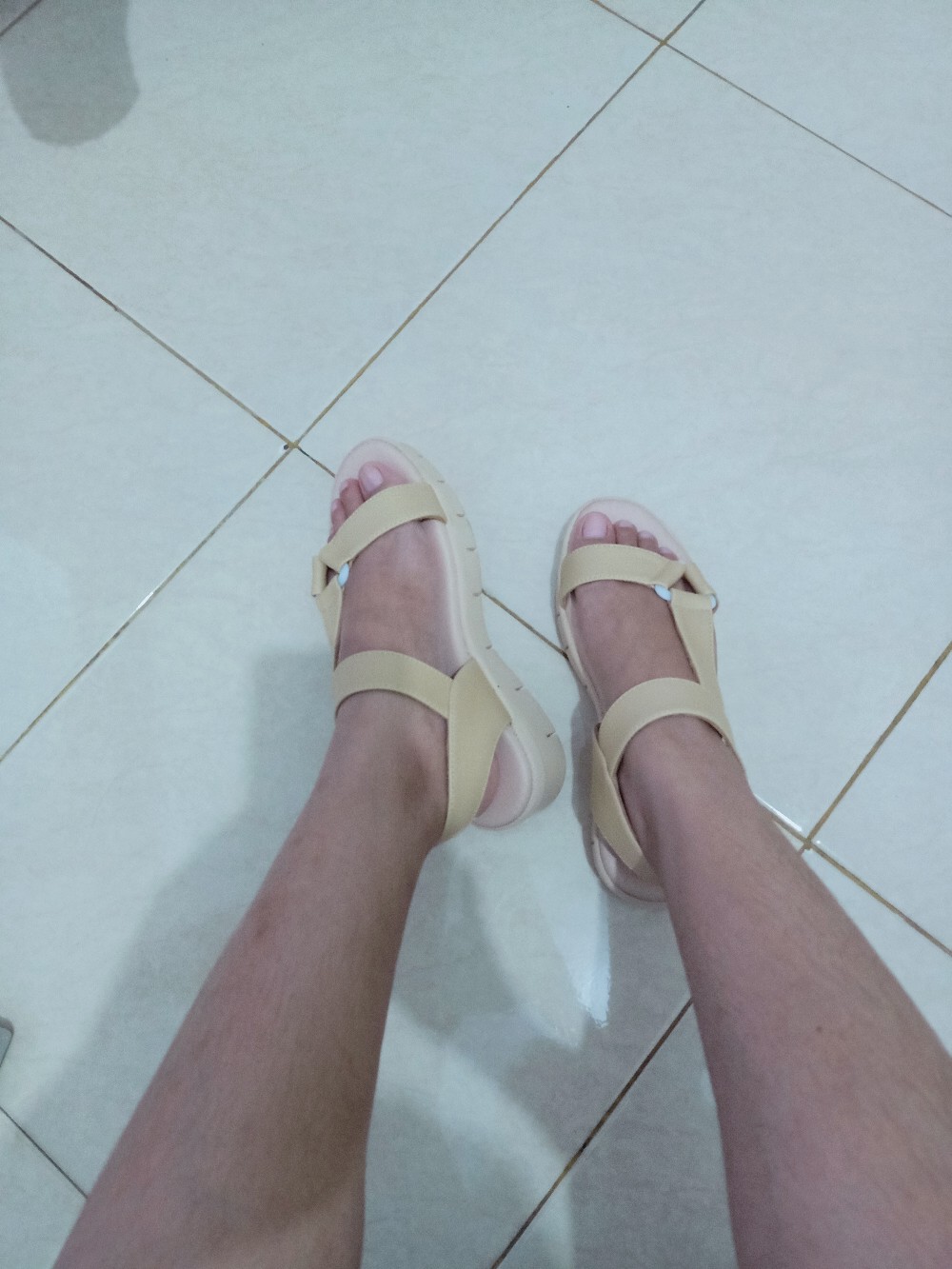 Corollea Platform Camel