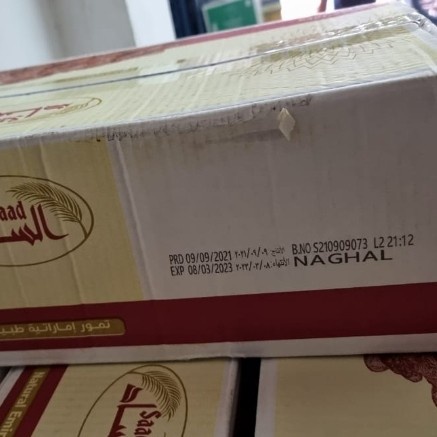 

kurma naghal isi 10 kg