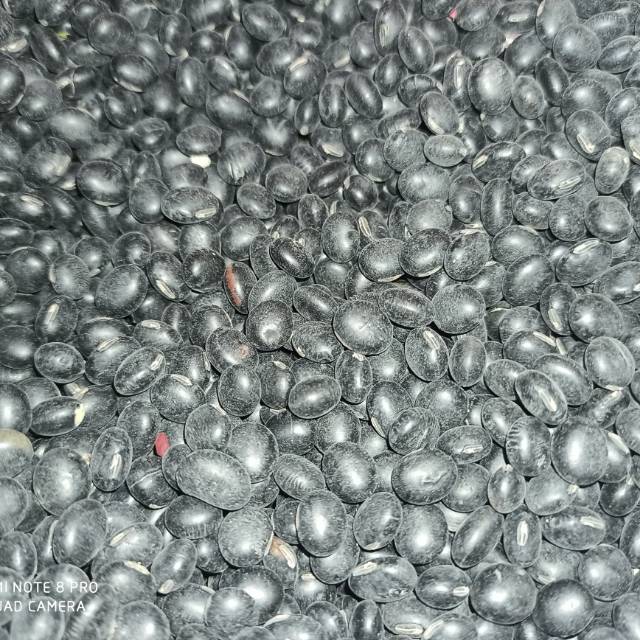 

Kedelai Hitam 100gr