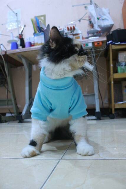 Kaos ala korea biru laut lucu untuk kucing dan anjing / baju kucing murah size S M L XL