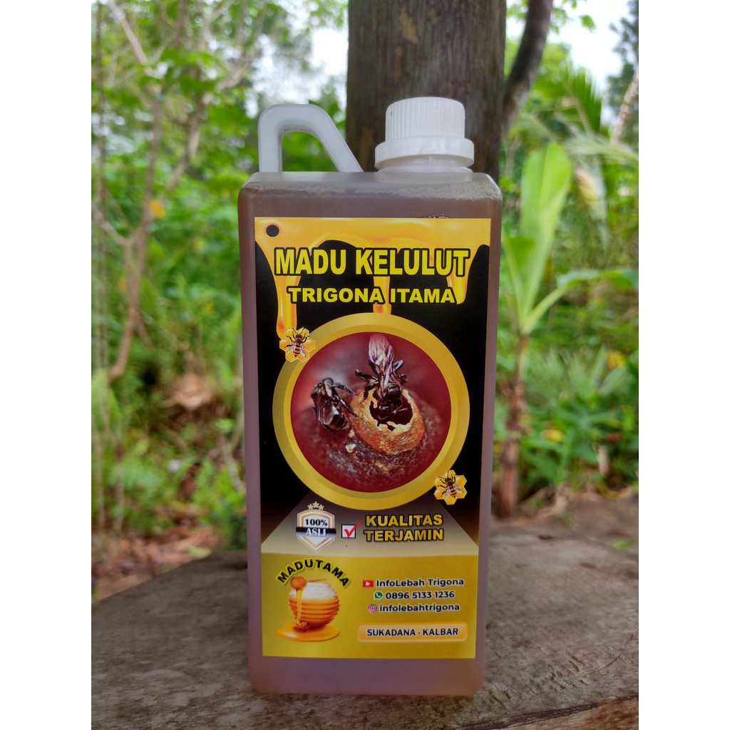 

Madu kelulut, trigona itama, klanceng, teuweul, 1 Liter asli dan murni
