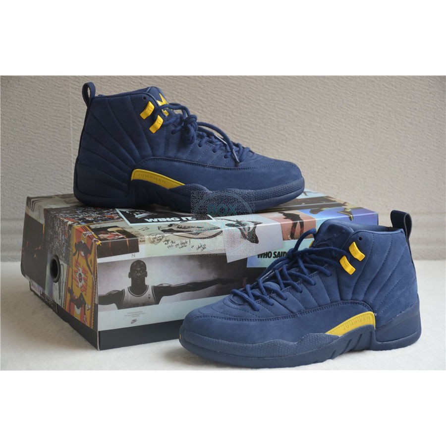 michigan jordan 9