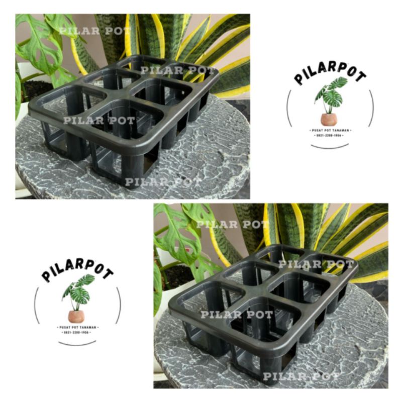 Tray pot nkt kotak 7CM (tanpa pot) | nkt kotak 7CM | tray semai bibit