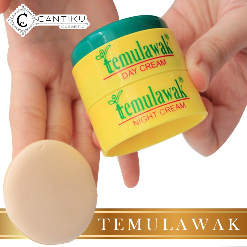 

temulawak v2 siang malam