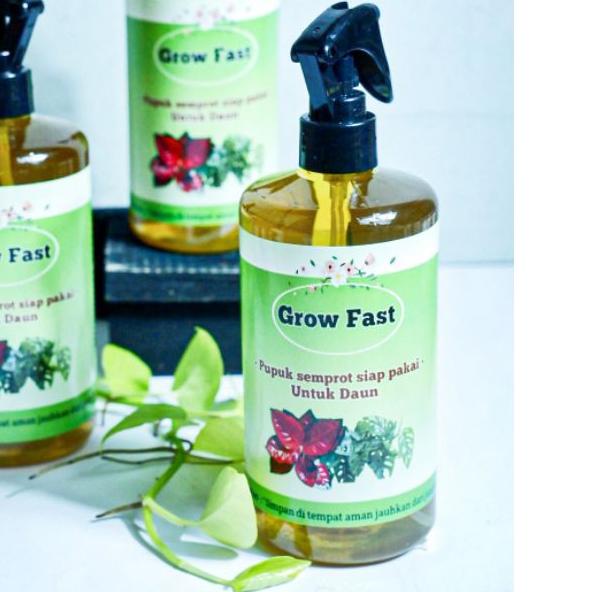 ℗ pupuk daun cair - pupuk daun tanaman hias - grow fast - aglonema ✹