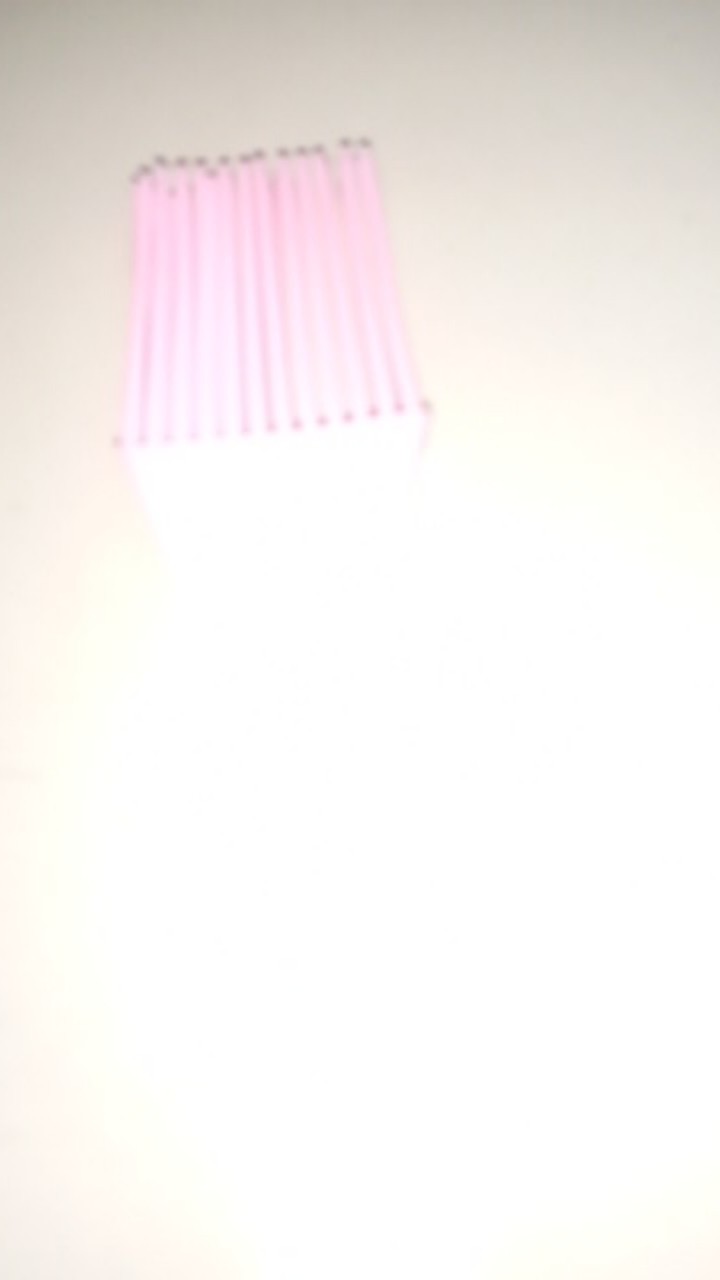 Kuas Roti - Cake - Barbeque/food Brush Silicone