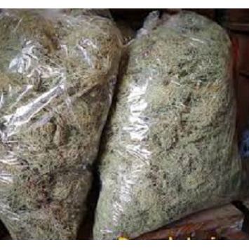 

Kayu Angin Asli Kering Utuh 1/2 kg (500 g) Akar Angin Asli Herbal Alami