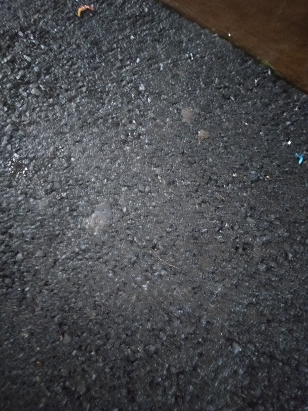 Pisau Dapur Stainless Steel Gagang Lapisan Karet /pisau Daging Profesional Bn