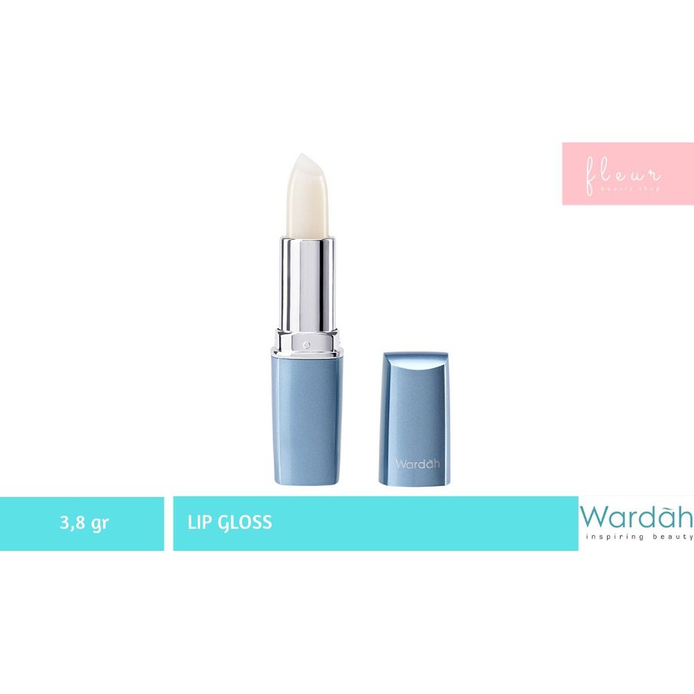 WARDAH Lip Gloss