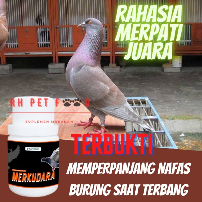 Dftoiutamtam Merkudara Doping Vitamin Burung Dara Merpati