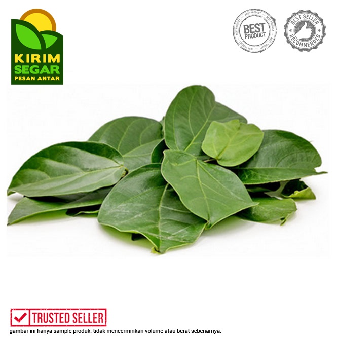 

Daun Cincau / Daun Cincau Segar / Daun Cincau Hijau /Pack