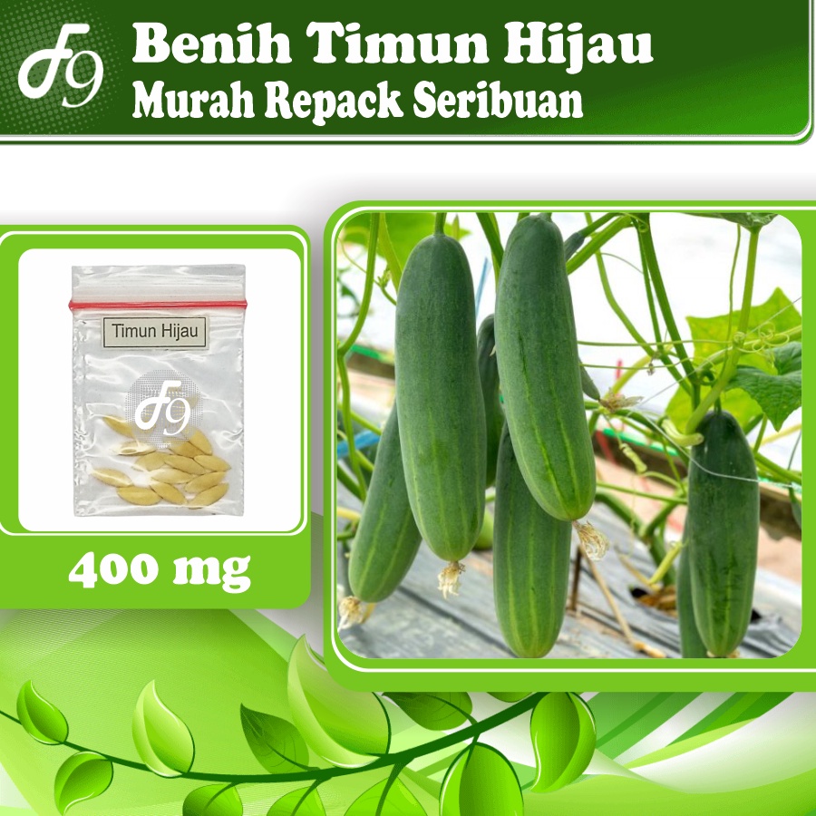 Benih Timun Hijau Murah Repack Seribuan