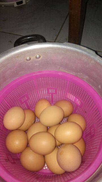 Telur Ayam Negeri 1 Kg Telor Ayam 1kg Jabodetabek Only Send By Gosend Shopee Indonesia