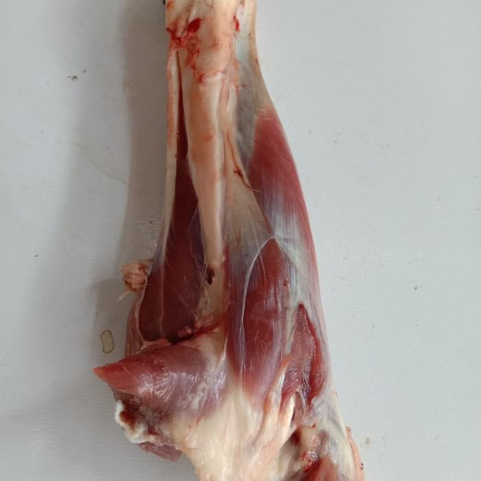 

Meat | Sengkel Kambing 1 Kg