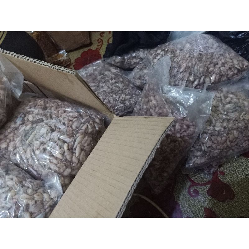 

READY ! Baby Cumi 1KG