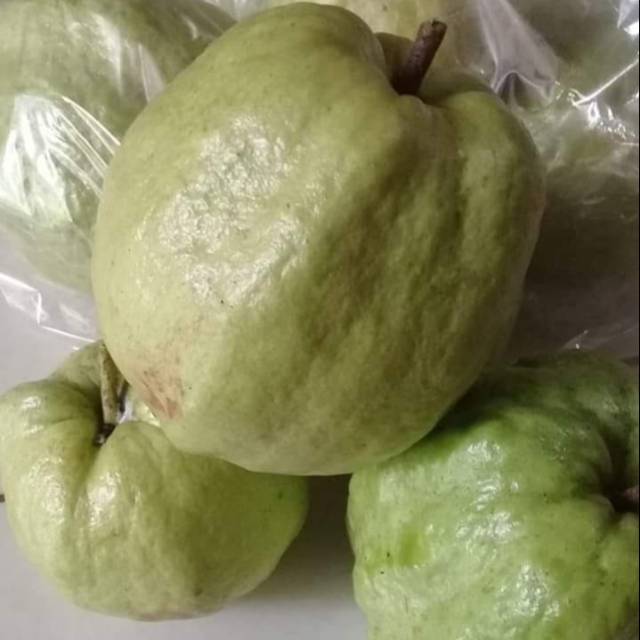 

Buah jmbu