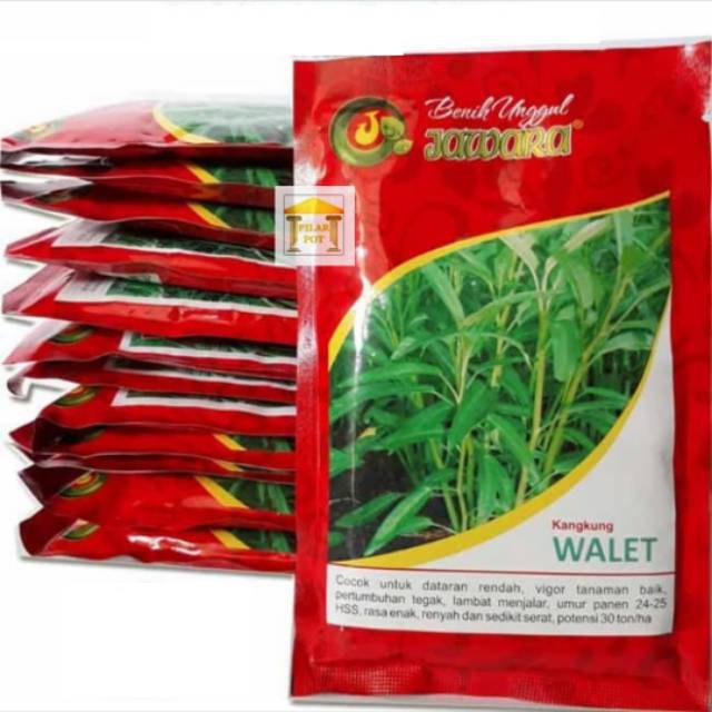 Benih bibit kangkung walet 100 gr - produk jawara