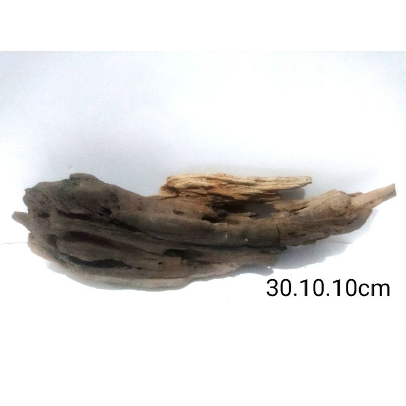 Kayu Rentek Santigi Laut Santigi Erosi Kayu Akar Aquascape santigi Driftwood asli