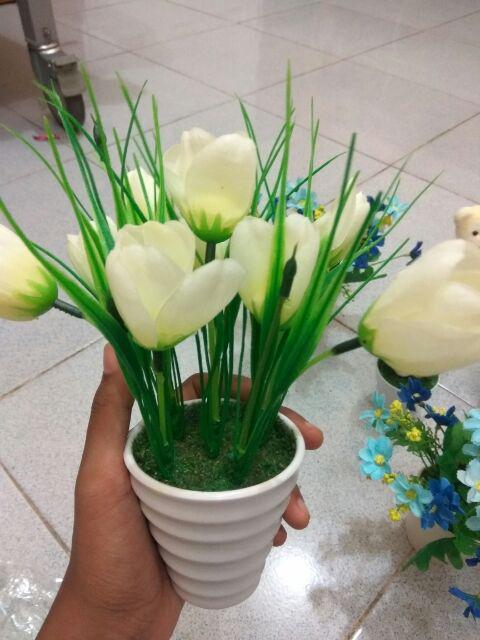 Buket Bunga Krisan Mini Kr04