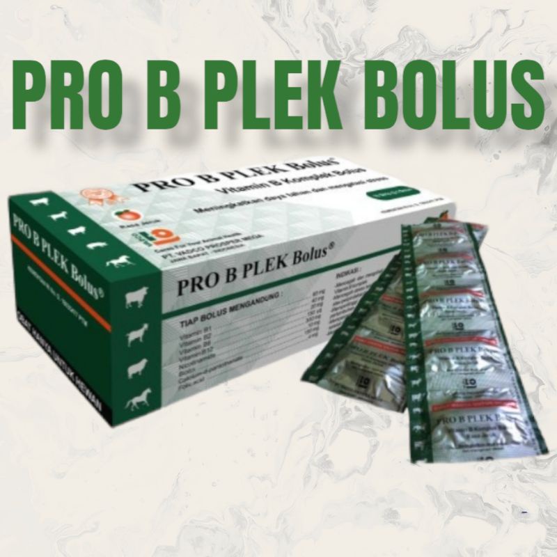 Pro B plek 1 BOLUS  rasa jeruk-vitamin B kompleks hewan bkompleks tablet komplex