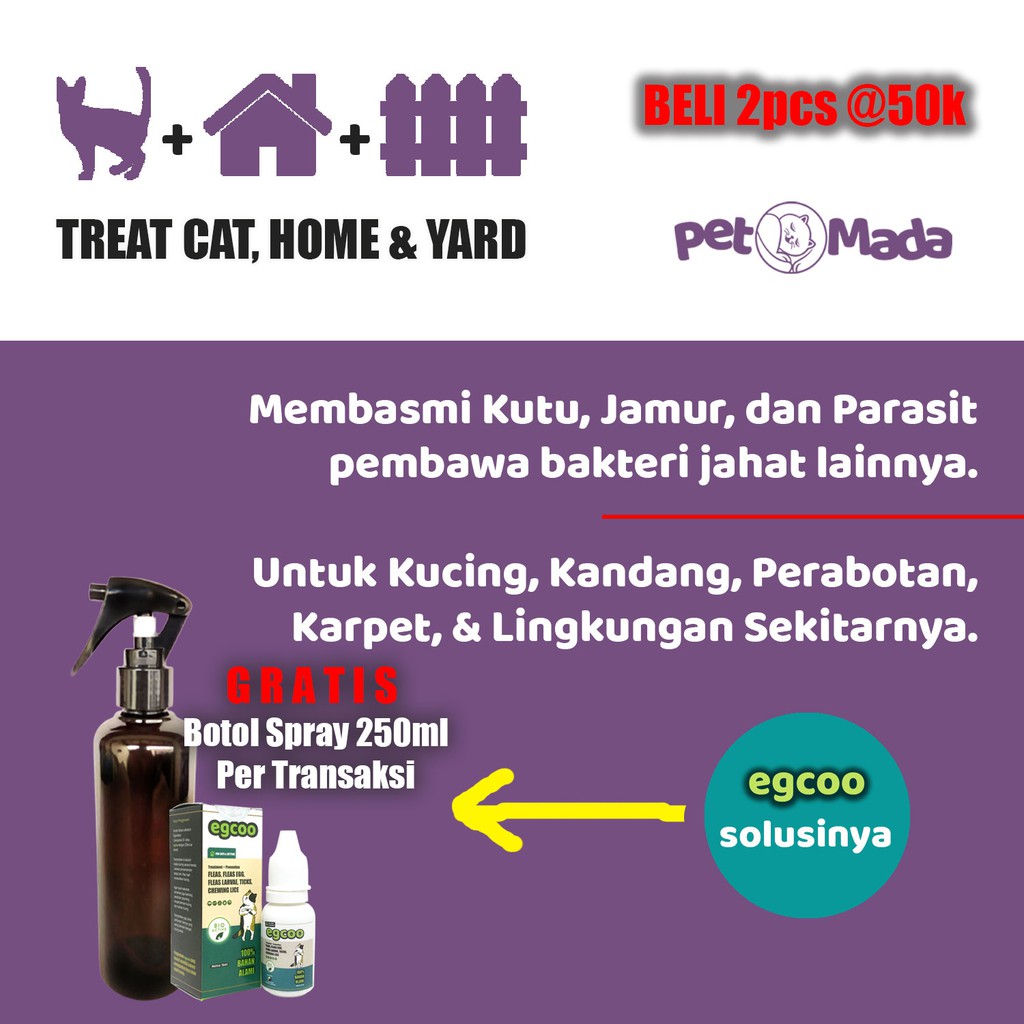Obat Kutu dan Jamur Kucing Scabies Aman Ampuh Alami EGCOO