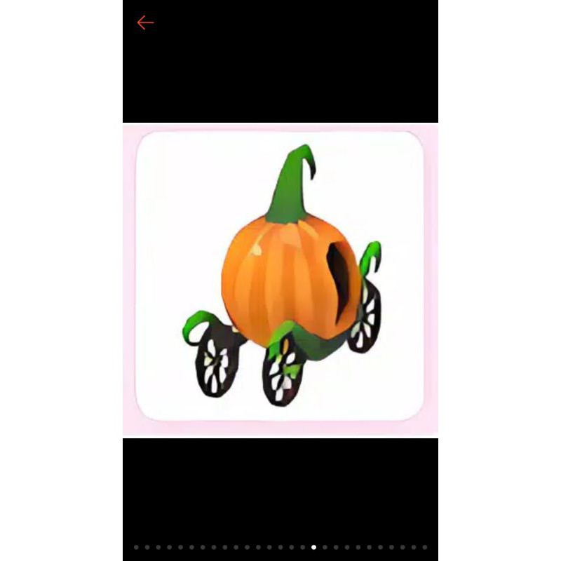 

pumpkin langka