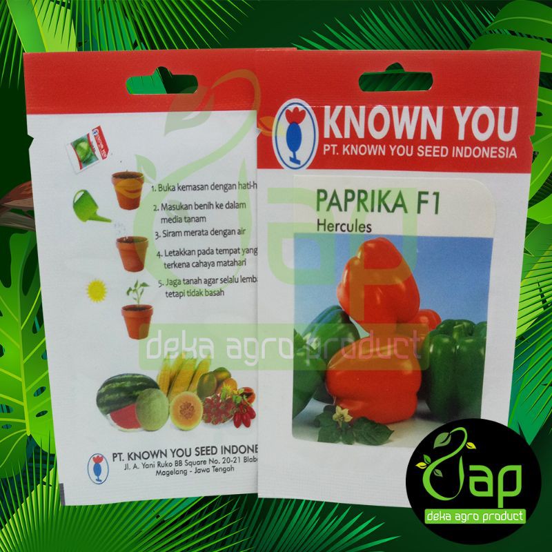 BIBIT / BENIH PAPRIKA F1 HERCULES