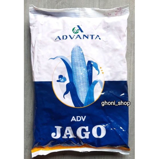 benih jagung adv jago