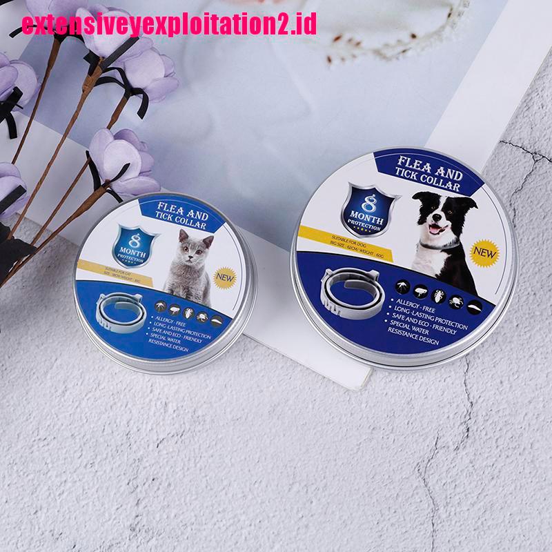 1 Pc Kalung Collar Anti Kutu Adjustable Untuk Anjing Peliharaan 8 Bulan