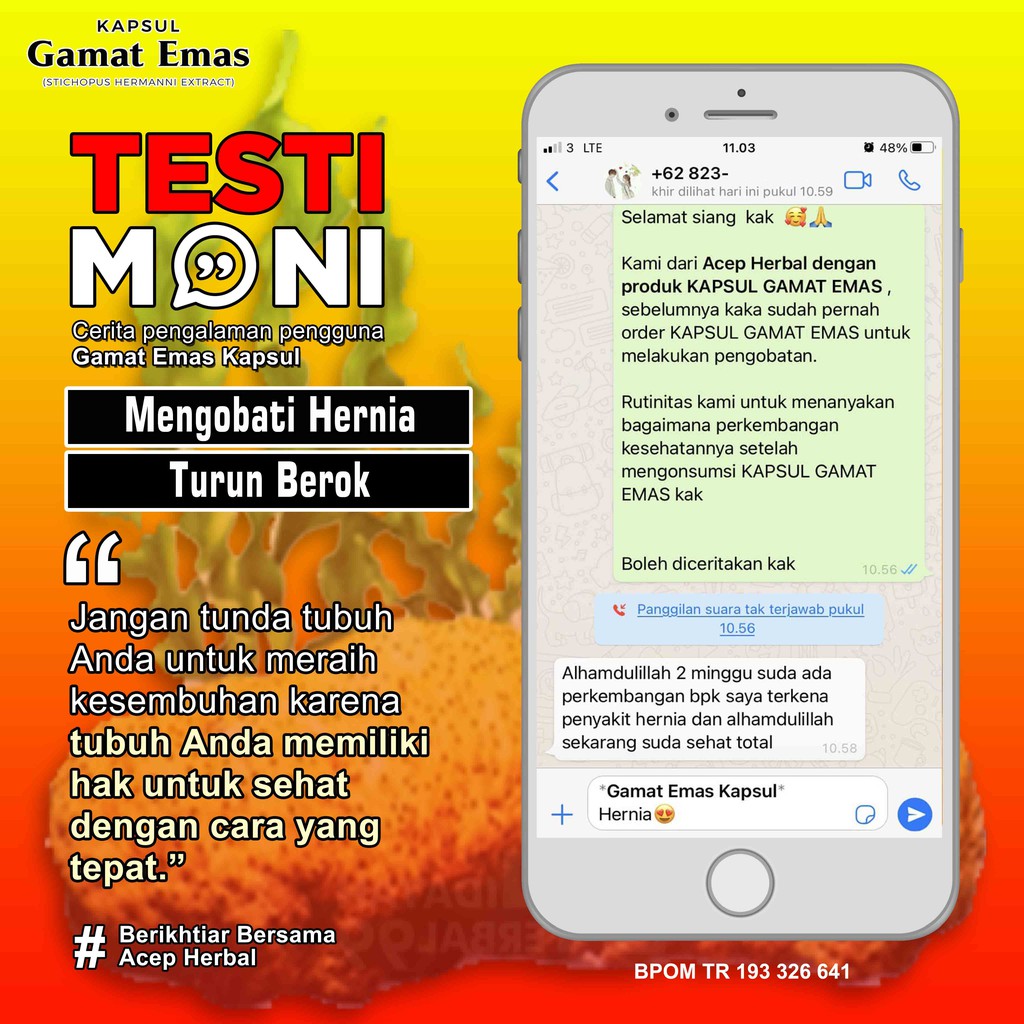 Obat Hernia Turun Bero Berok Burut Hidrokel Varikokel Nyeri Jakar Testis Bengkak Buah Zakar Besar Sebelah Gede Linu Kanker Prostat Epididmitis Air Mani Encer Pengental Sperma Penyubur Atasi Ejakulasi Dini Anti Loyo GAMAT EMAS KAPSUL ASLI PALING ORIGINAL-4
