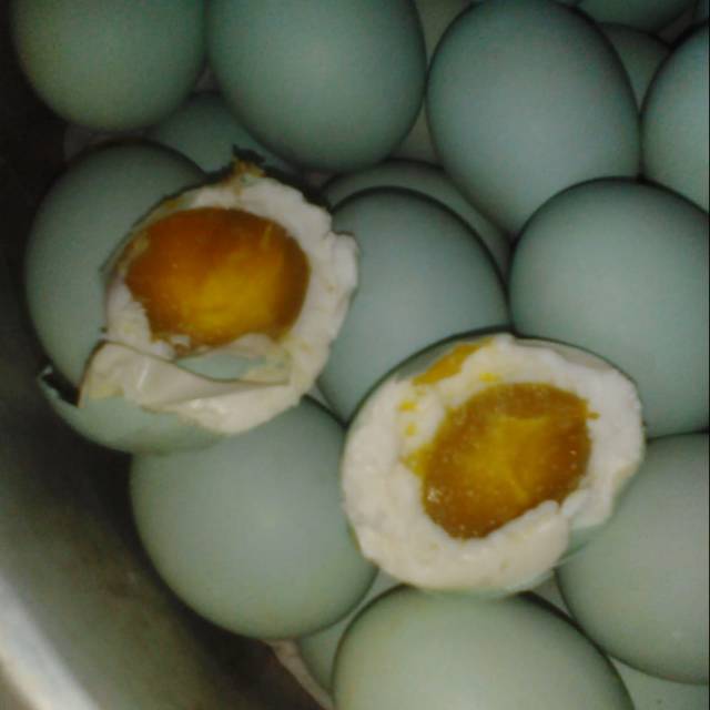 

TELOR ASIN MATANG