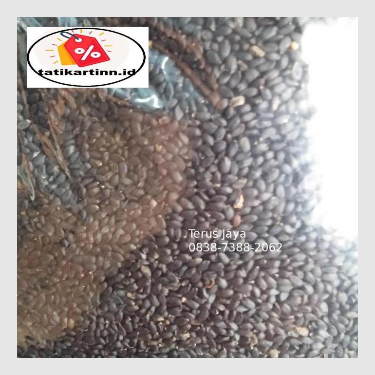 

S50Tat Biji Selasih Kualitas Bagus - 100G Atr05Ytt