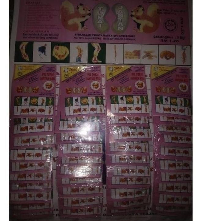 

[PRODUK 7U] pil Tupai jantan asli BCN