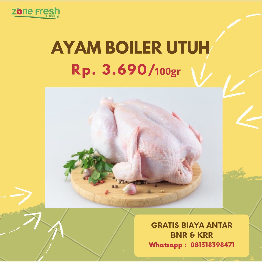 

AYAM-BOILER-UTUH