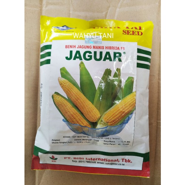 JAGUAR BENIH JAGUNG MANIS HIBRIDA F1 250 GRAM