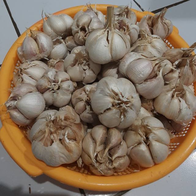

Bawang Putih Kating 1000 gr