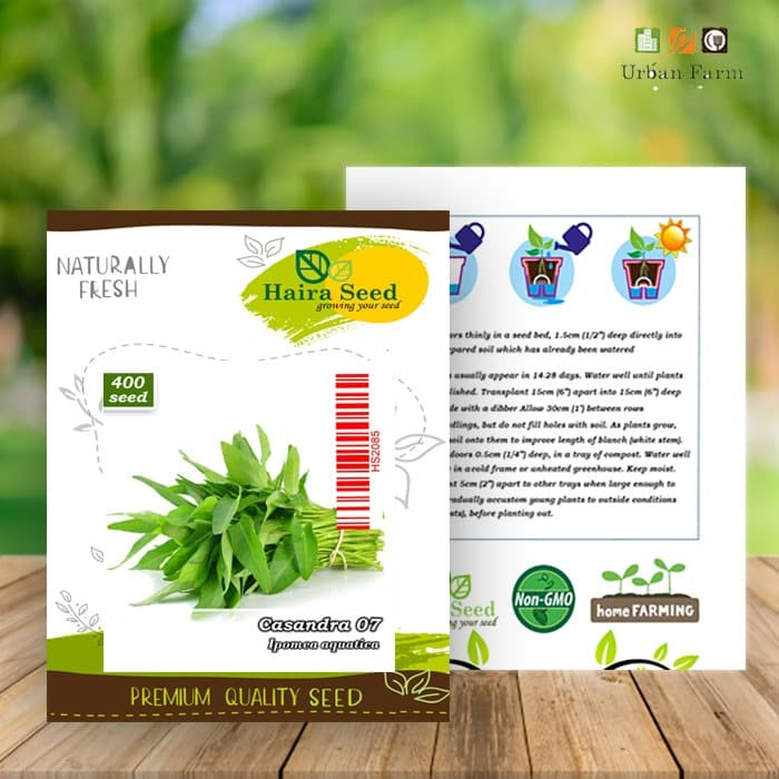 Haira Seed BIbit-Biji Kangkung Casandra 07