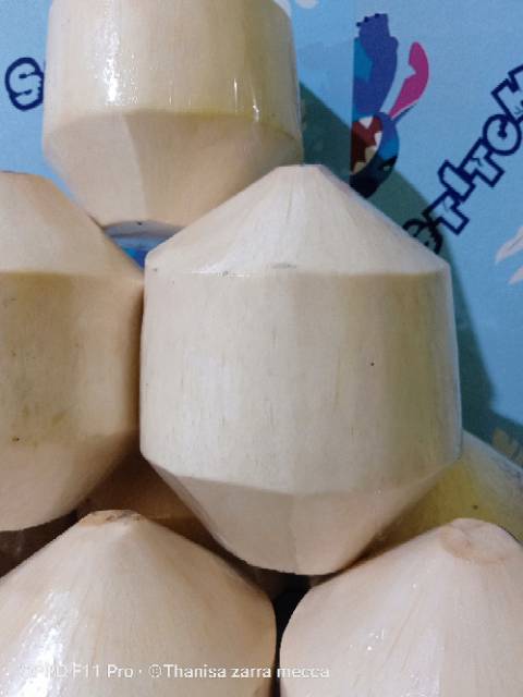 

Kelapa thailad super , beli 50 free 1 btr , atas bisa d kupas air d pisah