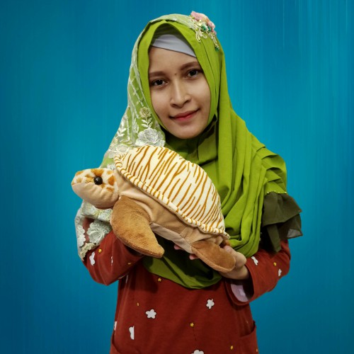 Boneka Kura Kura M Murah